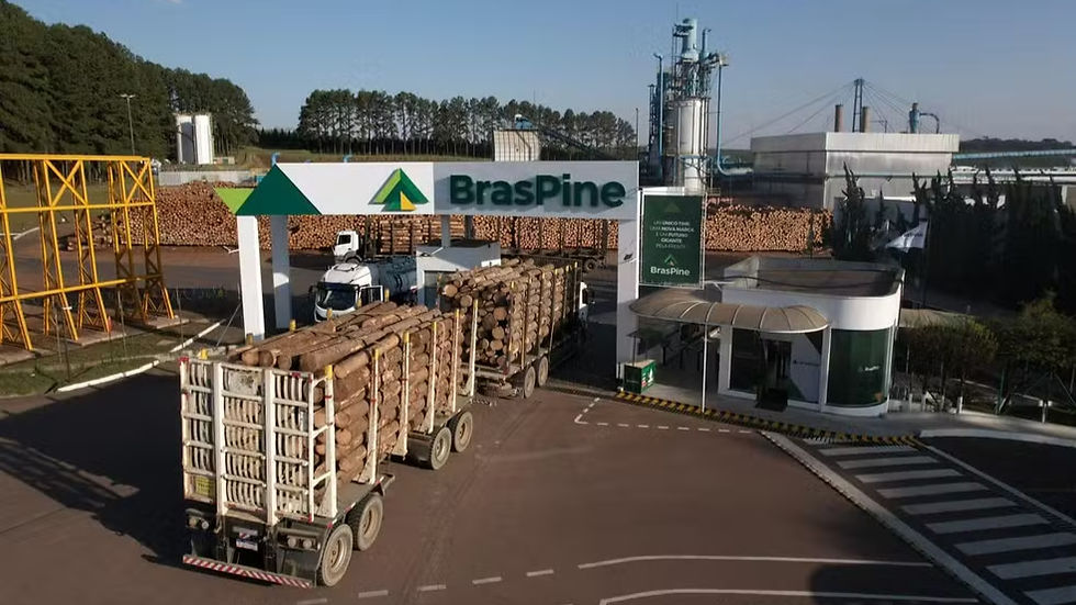 Em julho, a BrasPine havia anunciado férias coletivas Foto: Divulgação