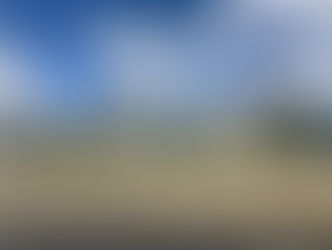 Ministério Público abre inquérito para apurar microcrustáceos na água em Ponta Grossa