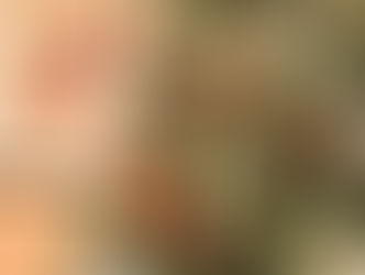 Natal Premiado está premiando consumidores ponta-grossense