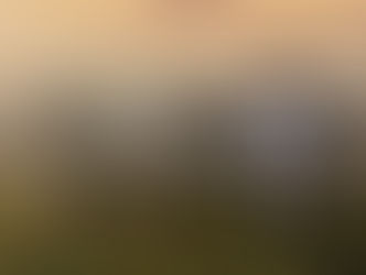 Gilson Aguiar: Violência não leva a nada