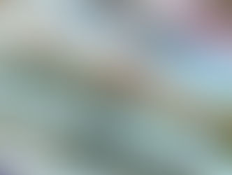 Silvio Barros: O Mundo financeiro Europeu pressiona pela sustentabilidade