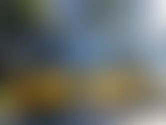 Prefeitura regulamenta transporte escolar em Ponta Grossa e define novas regras