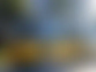 Prefeitura regulamenta transporte escolar em Ponta Grossa e define novas regras