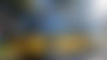 Prefeitura regulamenta transporte escolar em Ponta Grossa e define novas regras