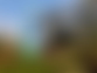 Detran-PR oferece serviços online relacionados à infração