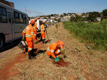 Ponta Grossa promove plantio e limpeza de córrego neste sábado (20)