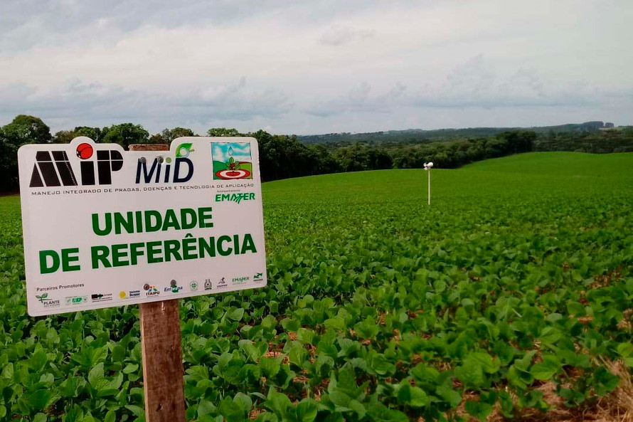 Foto: Reprodução/SEAB