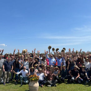 UN TEAM BUILDING C'EST QUOI ?