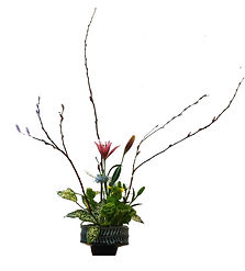 生け花202202042b.jpg