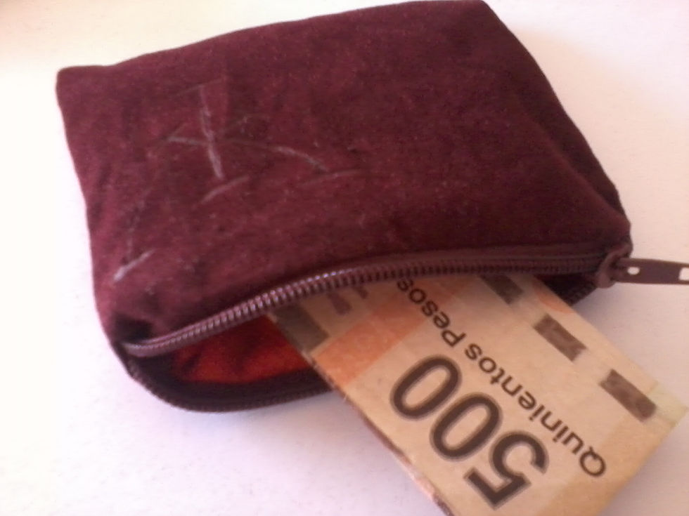 monedero "VEN DINERO"