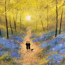 Bluebell Wood