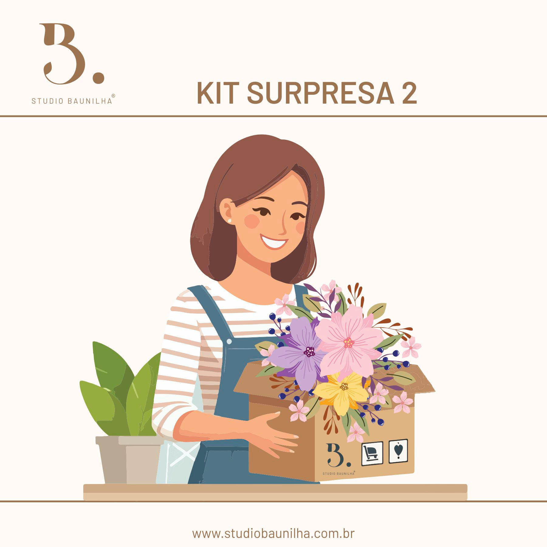 Kit Surpresa 2