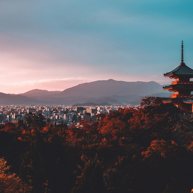 su-san-lee-E_eWwM29wfU-unsplash.jpg