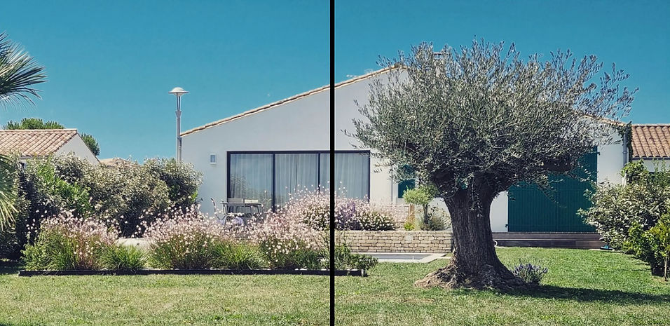 création de jardin paysager ile de implantation pelouse, massif