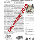 2020-01-08 (28).png