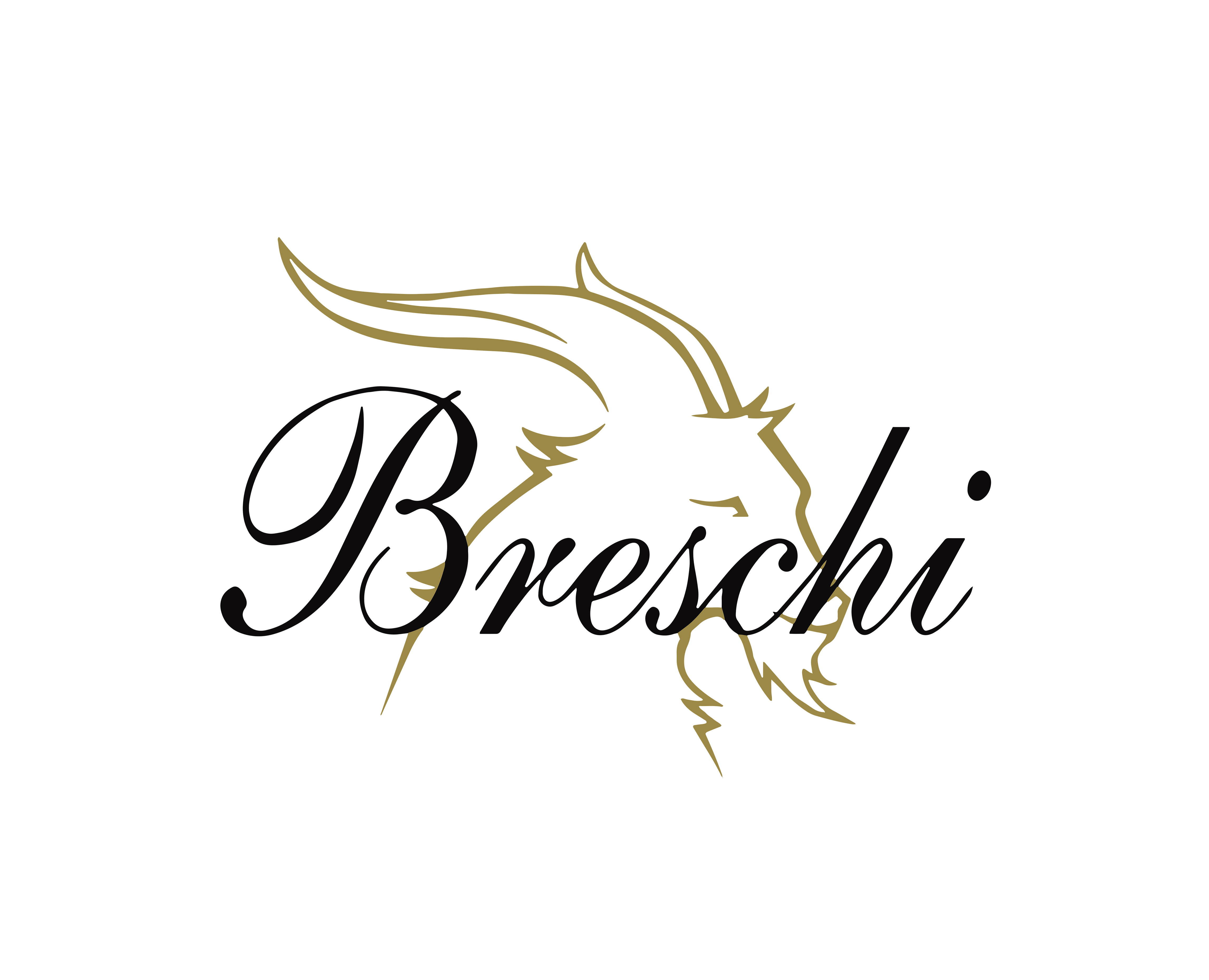 LOGO LANIFICIO BRESCHI