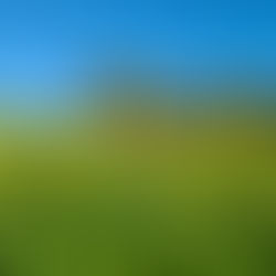 Winter in Mallorca: A Surprising Sunny Escape