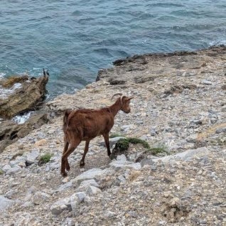 Eco-Friendly Travel in Mallorca: Sustainable Ways to Enjoy the Island