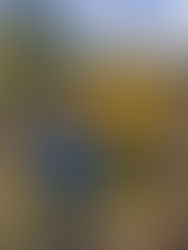 Podzimní fotografická soutěž