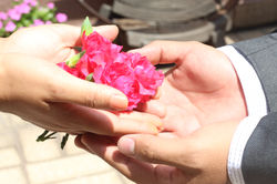 Flores de mis amores