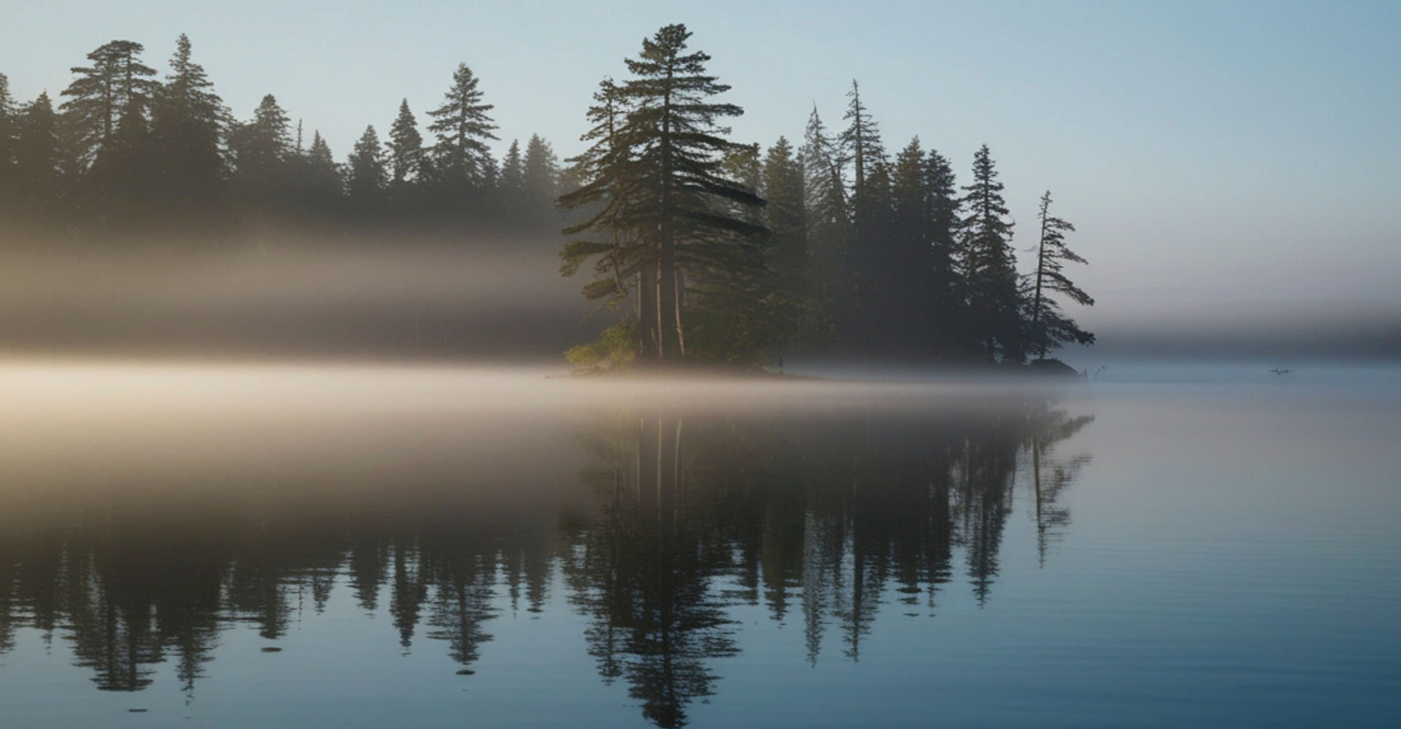 The School for Self-Centered Growth