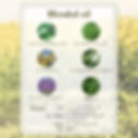 サムネイル： HELP AROMA！：08 protect-buzz off