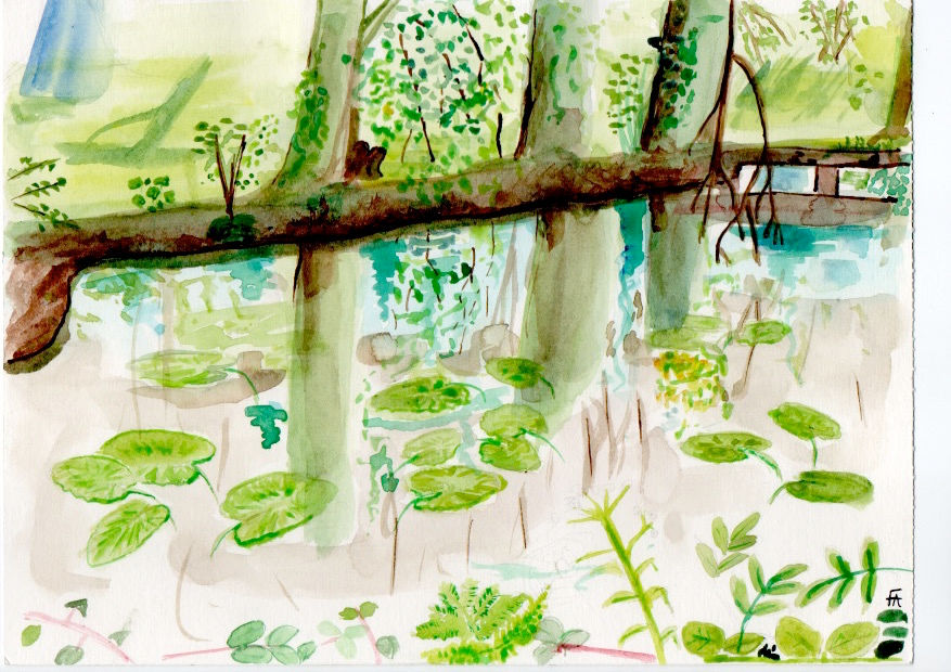 Aquarelle - Motoco