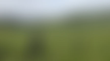 スーパーホットサマー