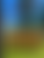 Welcome to Swanny's newest Bronzies!