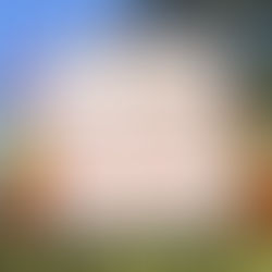 Junior Patrol Captains and Mentors