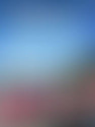 Design It Win It Ride It