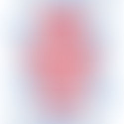 Meet the Swanny Youth Team for the 2025/26 season