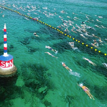 Graphic Designers - Swanny Ocean Classic