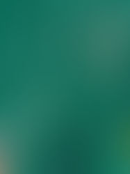 Caris Cup - Club Marathon - Sunday 13 April 8.00 am Start