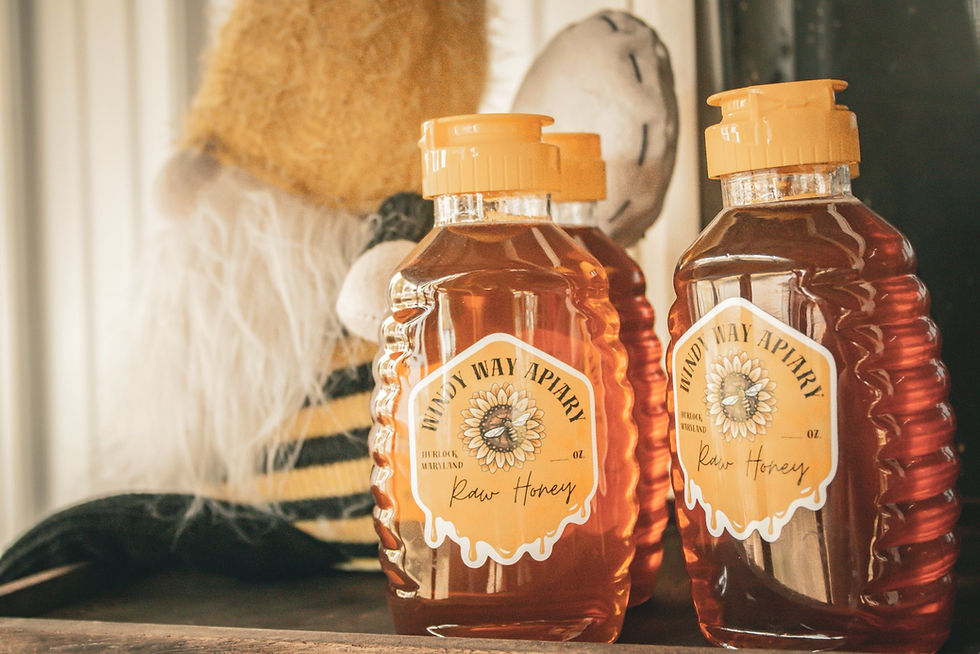 Raw Honey- 18 oz Squeeze Bottles