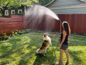 Are you a NEAT freak?