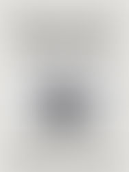 "Dr. Suzanne Castle Ignites Leadership with Sparkle Factor"