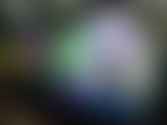 Umbanda Rio celebra a vida e reúne grandes nomes do cenário religioso