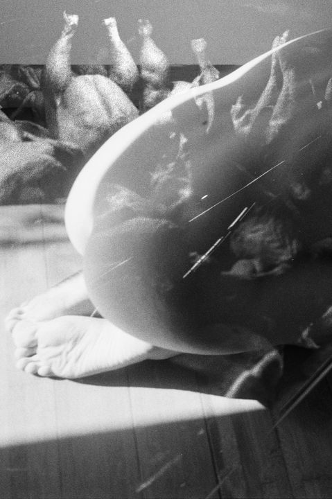 Interpielando el cuerpo