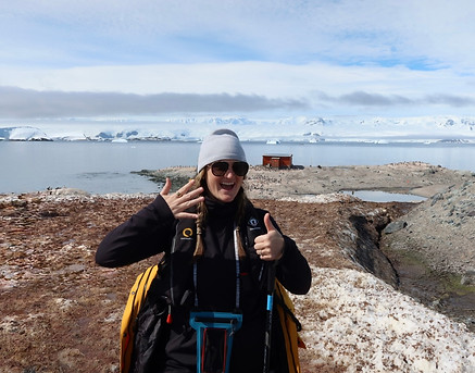 Nattberbatter in Antarctica.