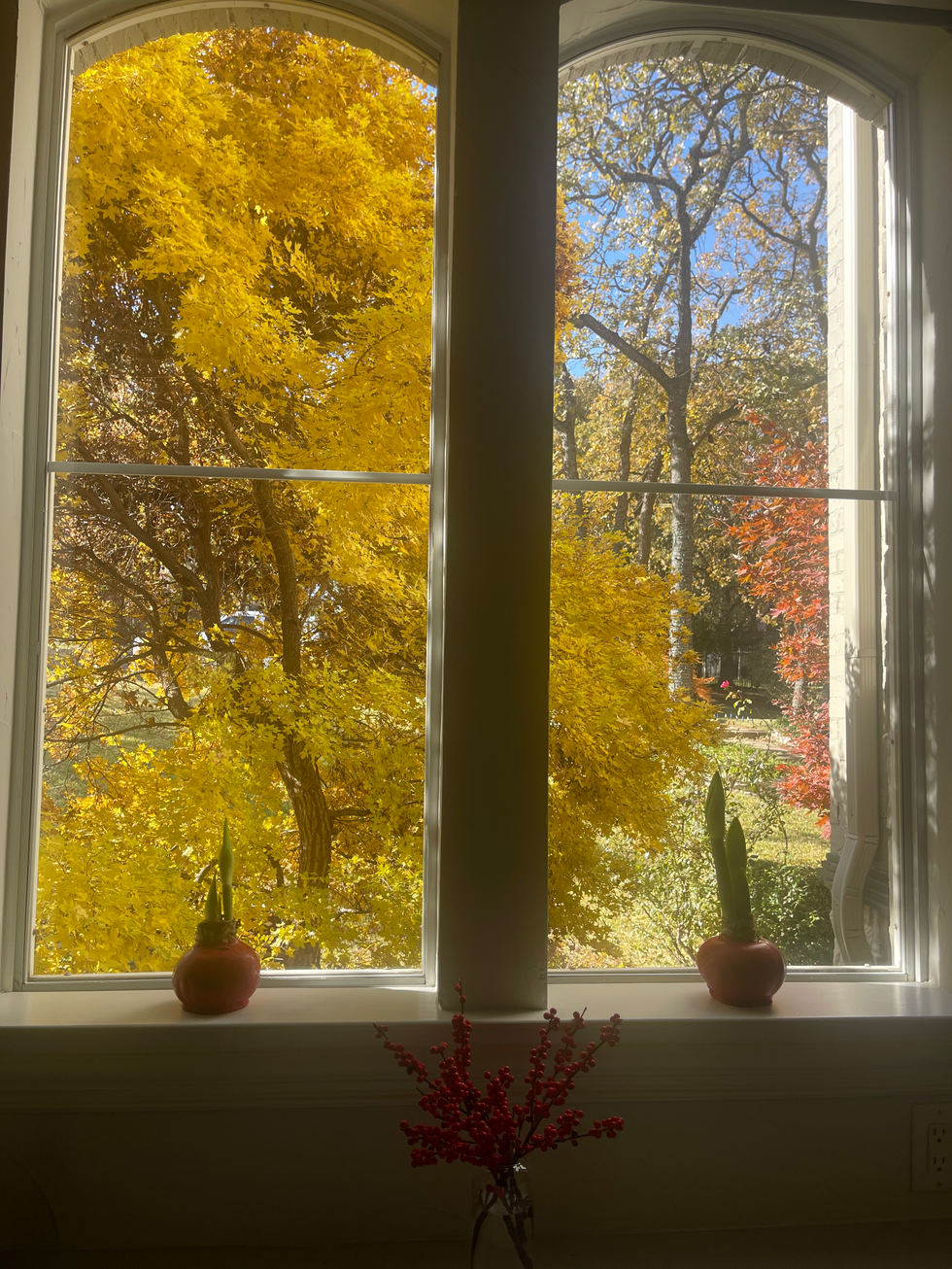 kc maple 4 window .HEIC