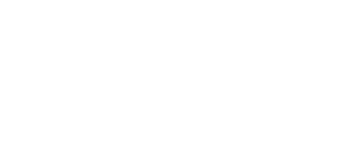 VDK-group-white-transparent-logo.png