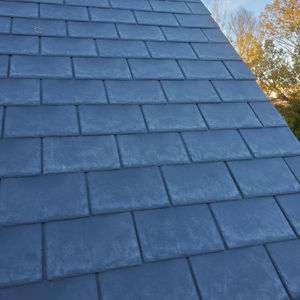 Slate Roof and Repairs