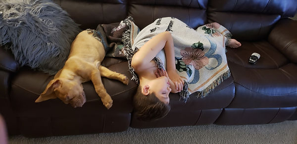 Greyson napjpeg.jpeg
