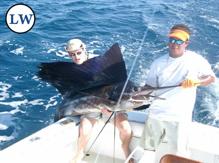 Craig Pisaris-Henderson Sailfish2