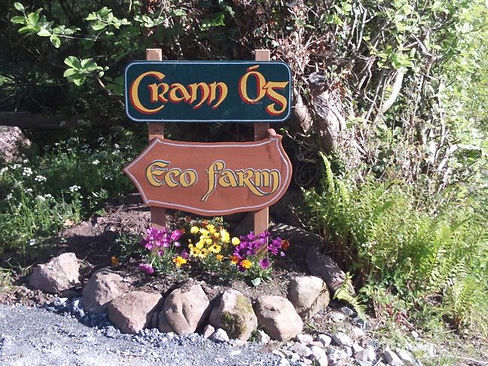 Crann Og Entrance.jpeg