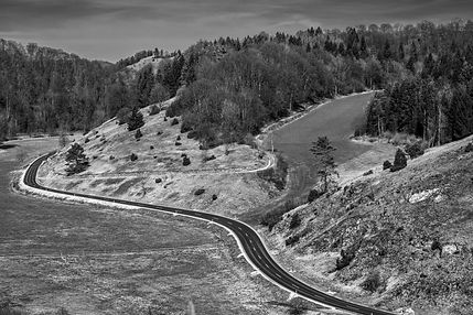 HOME-FineArtVonTamara (by Tamara Schmidt) (2 von 6).jpg