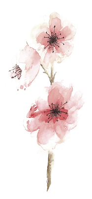 Cherry Blossom - Andreea Iosif Makeup Ar