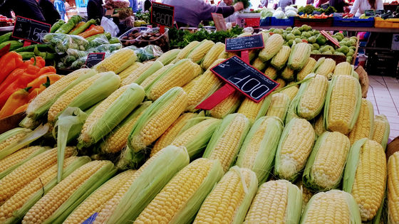Korea | Proposed Partial Revision of Labeling Standards for Genetically Modified Food (2018-192)