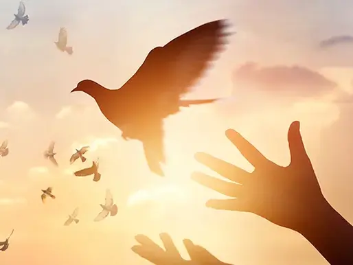 8. Ser personas de paz